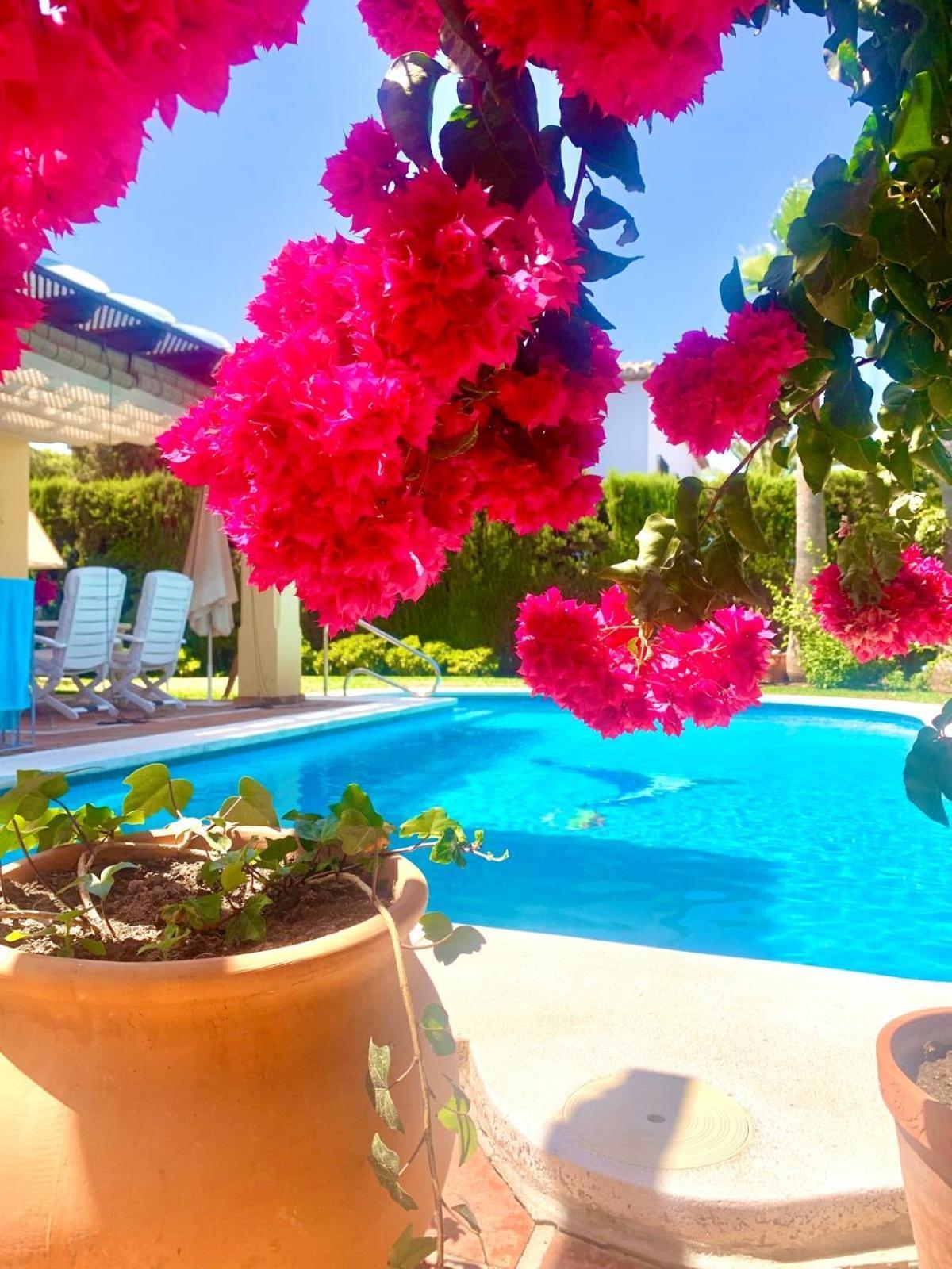 Moumi Villa *